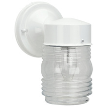 Canarm IOL2011 - Outdoor, 1 Bulb Outdoor, Clear Glass, 60W Type A or B