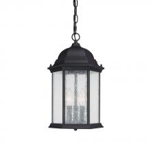 Capital Lighting 9836BK - 3 Light Outdoor Hanging Lantern